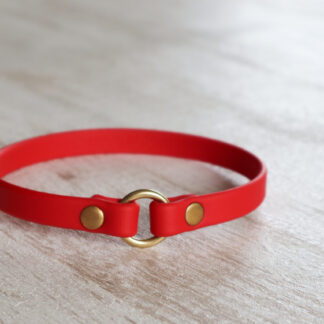 ホームIDカラー(IDチョーカー)