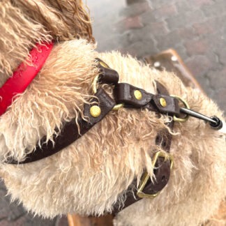 アクティブハーネス(単色)