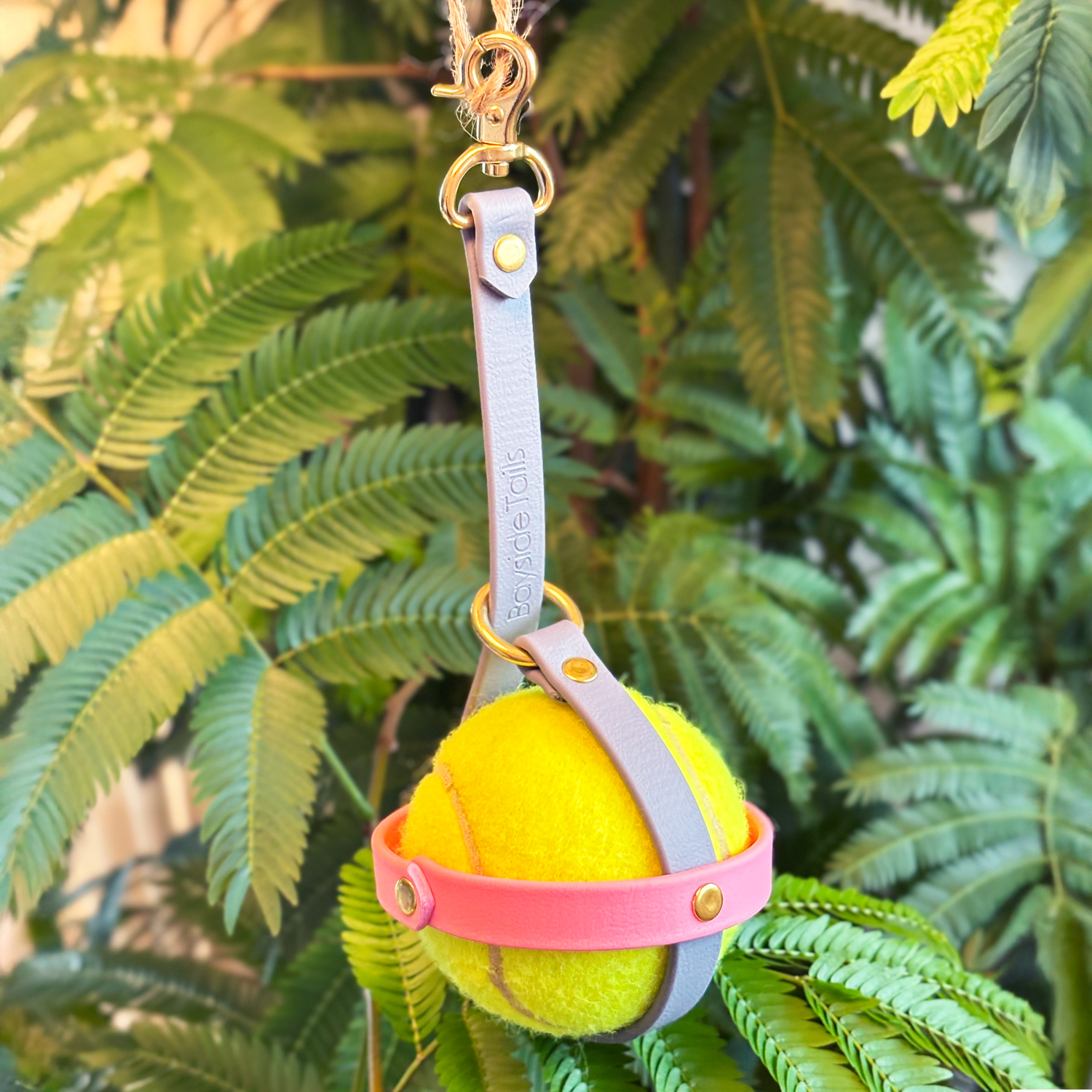 ボールキャリー - 画像 (3)